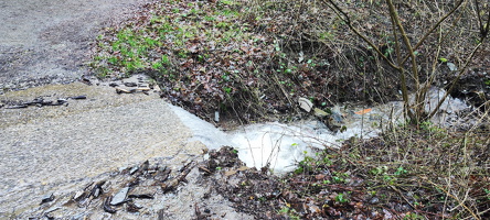 Wanderung in den Weinbergen oberhalb von Zell Mosel am 11.02.2024