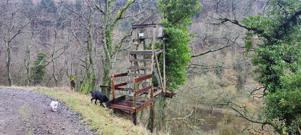 Wanderung in den Weinbergen oberhalb von Zell Mosel am 11.02.2024 Jägerhochstuhl