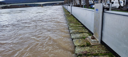 Moselhochwasser Januar 2023