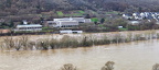 Moselhochwasser Januar 2023 (393 Besuche) Moselhochwasser Januar 2023