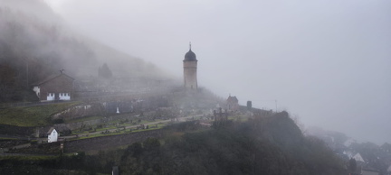 Morgens in den Weinbergren oberhalb von Zell  7 