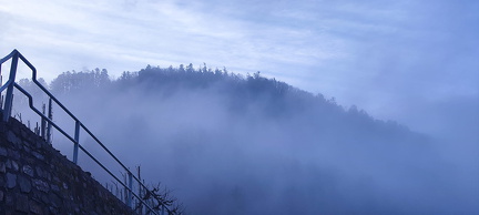 Morgens in den Weinbergren oberhalb von Zell  1 