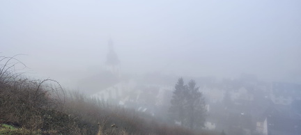 Morgens in den Weinbergren oberhalb von Zell  10 