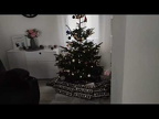 Aufstellen des Weihnachtsbaumes im Ferienhaus 2023 (278 Besuche) Aufstellen des Weihnachtsbaumes im Ferienhaus 2023
