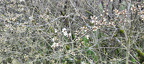 IMG-20240316-WA0159