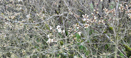 IMG-20240316-WA0159