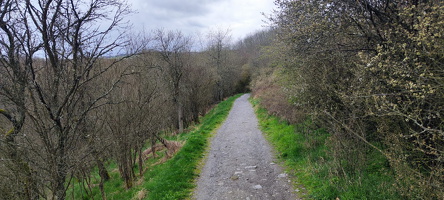 IMG-20240316-WA0149