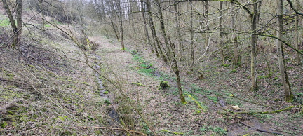 IMG-20240316-WA0144