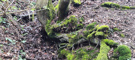 IMG-20240316-WA0131