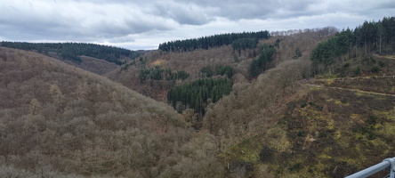 IMG-20240316-WA0124