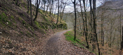 IMG-20240316-WA0087