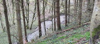 IMG-20240316-WA0077 (390 Besuche) IMG-20240316-WA0077