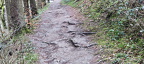 IMG-20240316-WA0081