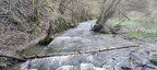 Hängeseilbrücke Geierlay, Geierlay, 56290 Mörsdorf, Deutschland (365 Besuche) Hängeseilbrücke Geierlay, Geierlay, 56290 Mörsdorf, Deutschland