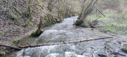 Hängeseilbrücke Geierlay, Geierlay, 56290 Mörsdorf, Deutschland
