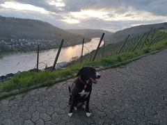 Nachtwanderung am 02.04.2024 zum Collisturm und zurück