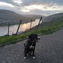 Wanderung zum Collis-Turm am 02.04.2024