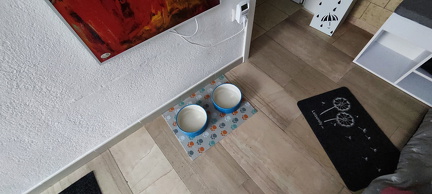 Bilder Ferienhaus vom 05.04.2024