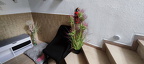 Bilder Ferienhaus vom 05.04.2024
