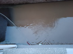 IMG-20240520-WA0086