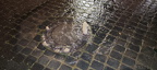 IMG-20240520-WA0070